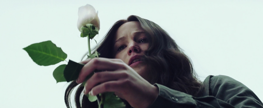 mockingjay-katniss-everdeen-roses